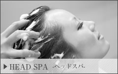 HEAD SPA